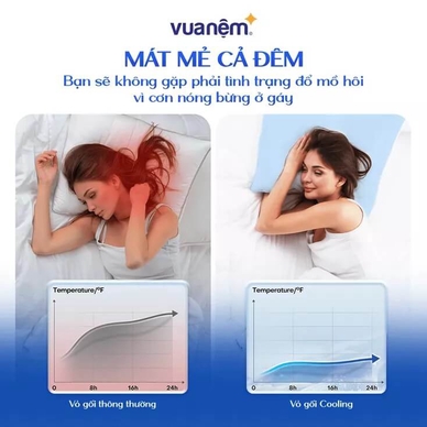 Combo Gối ôm Poppy kèm vỏ gối cooling - Ảnh 11