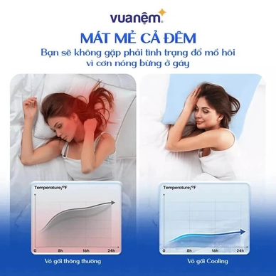 Combo Gối ôm Poppy kèm vỏ gối cooling - Ảnh 11