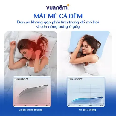 Combo Gối ôm Poppy kèm vỏ gối cooling - Ảnh 11