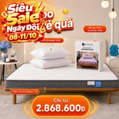 Combo Rẻ Quá 2: Nệm Foam iComfy Basic 1.0 Kèm Ga + 2 Gối - Ảnh 2