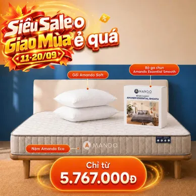 Combo Lò xo siêu tiết kiệm: Đệm lò xo Amando Eco kèm bộ ga chun - Ảnh 2