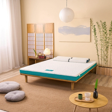 Nệm foam Nhật Bản Aeroflow Standard nâng đỡ cơ thể dày 12cm - Ảnh 2