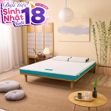 Nệm foam Nhật Bản Aeroflow Standard nâng đỡ cơ thể dày 12cm - Ảnh 2