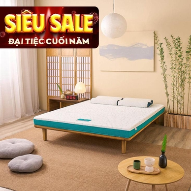 Nệm foam Nhật Bản Aeroflow Standard nâng đỡ cơ thể dày 12cm - Ảnh 2