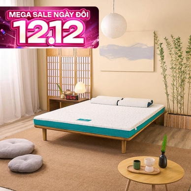 Nệm foam Nhật Bản Aeroflow Standard nâng đỡ cơ thể dày 12cm - Ảnh 2