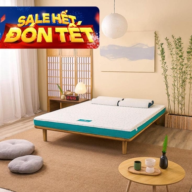 Nệm foam Nhật Bản Aeroflow Standard nâng đỡ cơ thể dày 12cm - Ảnh 2