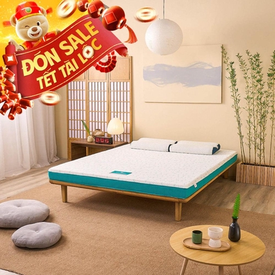 Nệm foam Nhật Bản Aeroflow Standard nâng đỡ cơ thể dày 12cm - Ảnh 2