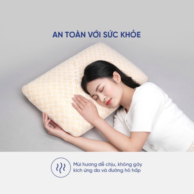 Gối Cao su Dreamland Ovan - Ảnh 6