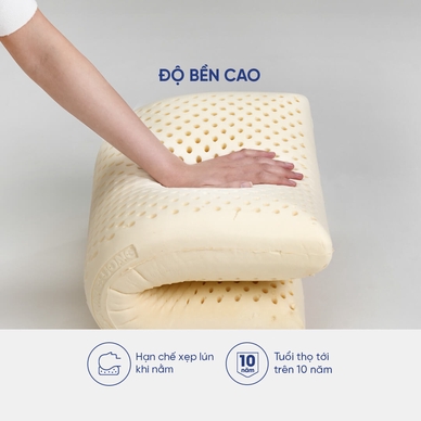 Gối Cao su Dreamland Ovan - Ảnh 7