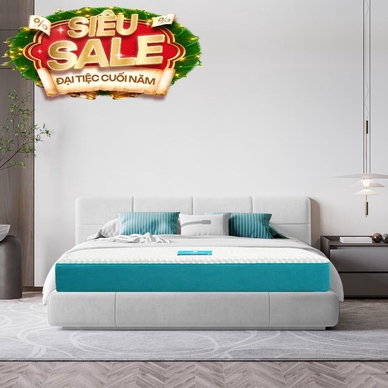 Nệm foam Nhật Bản Aeroflow Fit Plus kháng khuẩn dày 20cm - Ảnh 2