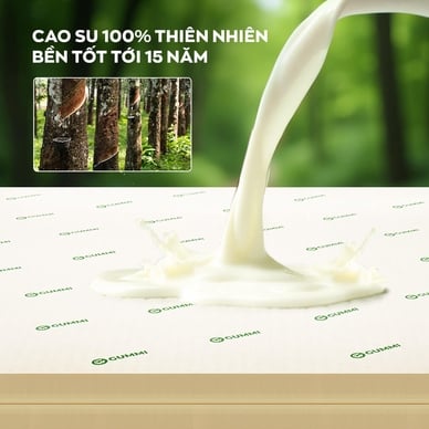 Nệm cao su thiên nhiên Gummi Classic thế hệ mới dày 5/10/15cm - Ảnh 7