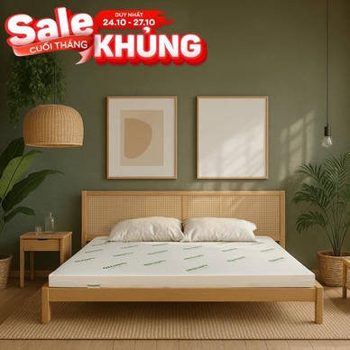 Nệm cao su thiên nhiên Gummi Classic thế hệ mới dày 5/10/15cm - Ảnh 2