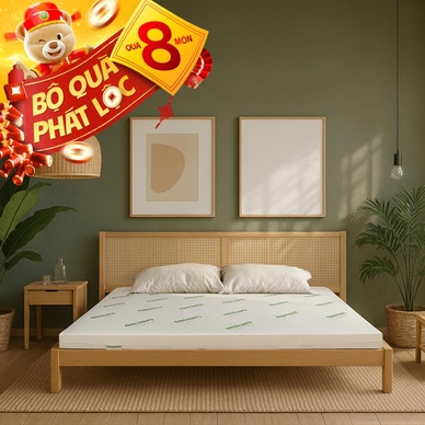 Nệm cao su thiên nhiên Gummi Classic thế hệ mới dày 5/10/15cm - Ảnh 2