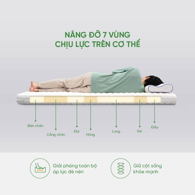 Nệm cao su Gummi 7zones nhập khẩu dày 12cm - Ảnh 4