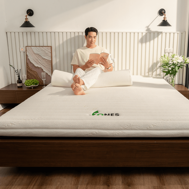 Nệm cao su Gummi 7zones nhập khẩu dày 12cm - Ảnh 3