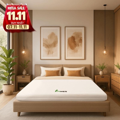 Nệm cao su Gummi 7zones nhập khẩu dày 12cm - Ảnh 2