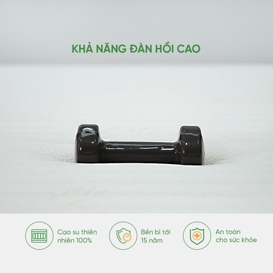 Nệm cao su Gummi 7zones nhập khẩu dày 12cm - Ảnh 7