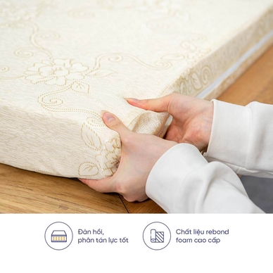 Nệm foam Goodnight Eva gấp 3 nâng đỡ dày 10cm - Ảnh 9