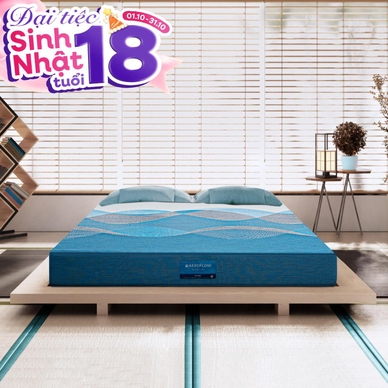 Nệm foam Nhật Bản Aeroflow Pride bảo vệ cột sống dày 22cm - Ảnh 2