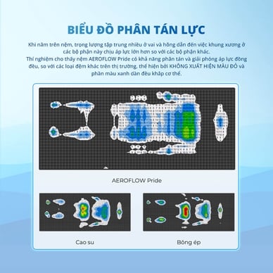 Nệm foam Nhật Bản Aeroflow Pride bảo vệ cột sống dày 22cm - Ảnh 6