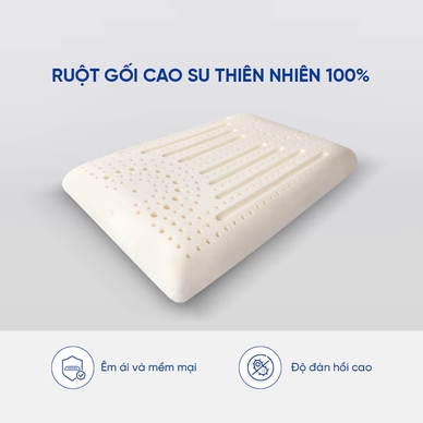 Gối cao su Gummi Evora 100% thiên nhiên massage thoáng khí - Ảnh 5