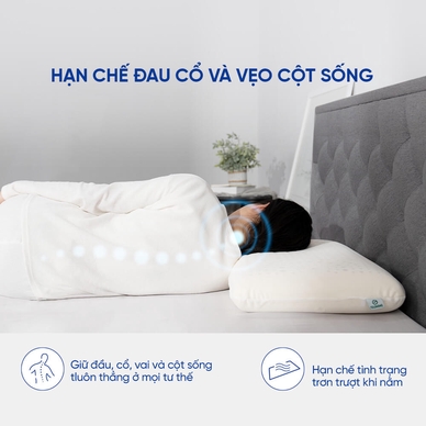 Gối cao su Gummi Evora 100% thiên nhiên massage thoáng khí - Ảnh 7