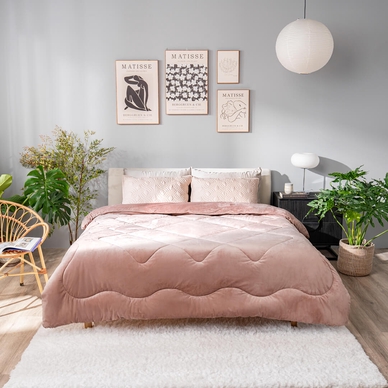 Chăn đông nhung tuyết giữ ấm Amando Warm - Ảnh 8