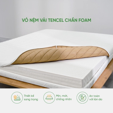 Nệm cao su cao cấp Gummi Legend nhập khẩu dày 20cm - Ảnh 4
