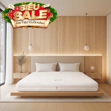 Nệm cao su cao cấp Gummi Legend nhập khẩu dày 20cm - Ảnh 2