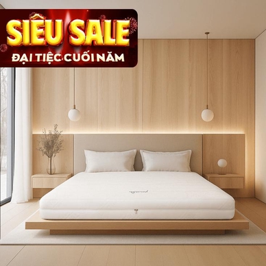 Nệm cao su cao cấp Gummi Legend nhập khẩu dày 20cm - Ảnh 2