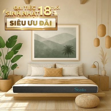 Nệm cao su đa tầng Kim Cương Stella dày 15cm - Ảnh 2