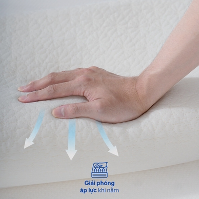 Gối foam Comfy Sofy công thái học - Ảnh 4