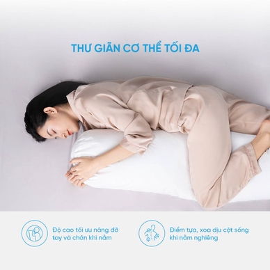 Ruột gối ôm Doona Microfiber CC - Ảnh 6