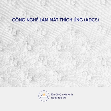 (Phiên bản giới hạn) Nệm lò xo Serta Pedic iBalance cao cấp điều hoà thân nhiệt dày 36cm - Ảnh 6