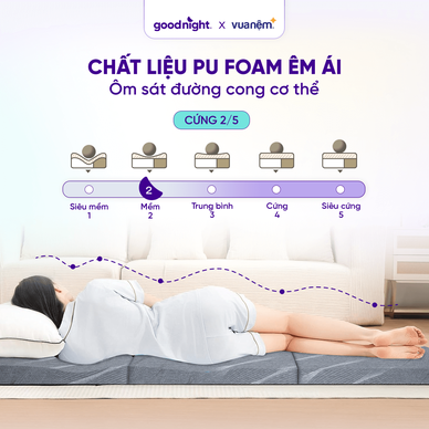 Nệm foam Goodnight Core (Akita) gấp 3 dày 8cm - Ảnh 4