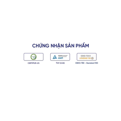(Phiên bản giới hạn) Nệm Foam Tempur Pro Plus Medium Firm tương thích toàn diện dày 25cm - Ảnh 8