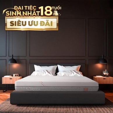 Nệm foam làm mát, kháng khuẩn nâng đỡ 5 vùng Comfy Lux 1.0 - Ảnh 2