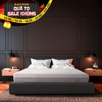 Nệm foam làm mát, kháng khuẩn nâng đỡ 5 vùng Comfy Lux 1.0 - Ảnh 2