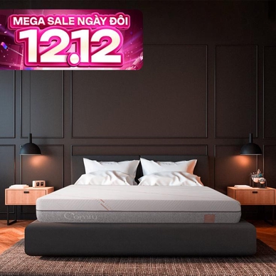 Nệm foam làm mát, kháng khuẩn nâng đỡ 5 vùng Comfy Lux 1.0 - Ảnh 2