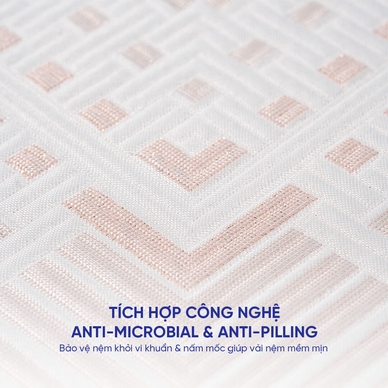 Nệm foam Comfy Lux 3.0 cao cấp tương thích toàn diện dày 25cm - Ảnh 9