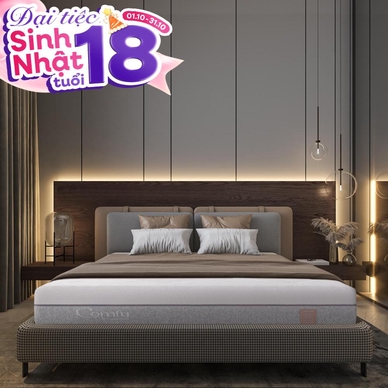 Nệm foam Comfy Lux 3.0 cao cấp tương thích toàn diện dày 25cm - Ảnh 2