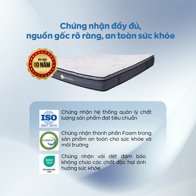 Nệm lò xo túi độc lập Amando Elite Plus giảm tiếng ồn dày 25cm - Ảnh 9