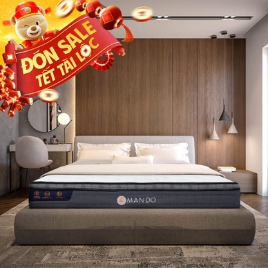 Nệm lò xo túi độc lập Amando Elite Plus giảm tiếng ồn dày 25cm - Ảnh 2