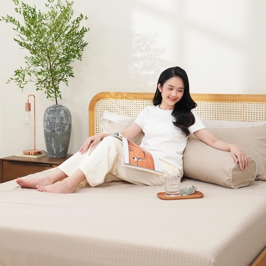 Bộ ga chun polyester gấm Amando Ellie đơn sắc 4 chi tiết Màu Be - Ảnh 2