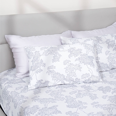 Bộ ga chun tencel Amando Celia 4 chi tiết TP007 - Ảnh 7