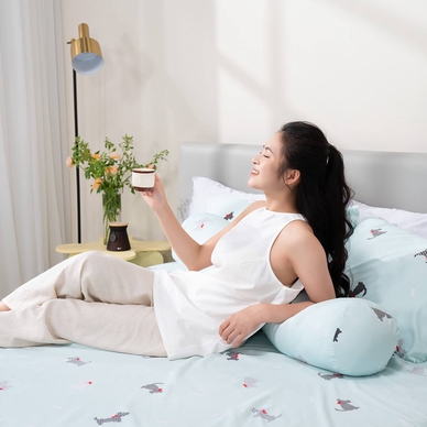 Bộ ga chun tencel Amando Celia 4 chi tiết TP009 - Ảnh 10