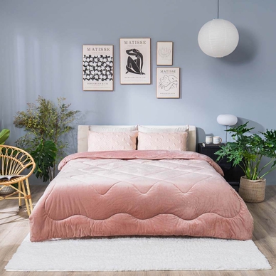 Chăn đông nhung tuyết giữ ấm Amando Warm Flannel - Ảnh 3