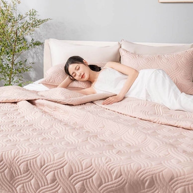 Bộ chăn chần, vỏ gối Microfiber mềm mại, kháng khuẩn Amando Luna 3 chi tiết - Ảnh 8