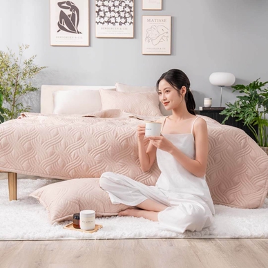 Bộ chăn chần, vỏ gối Microfiber mềm mại, kháng khuẩn Amando Luna 3 chi tiết - Ảnh 10