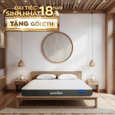 Nệm foam Goodnight Massage 2.0 (Hachi) giảm áp lực dày 15cm - Ảnh 2
